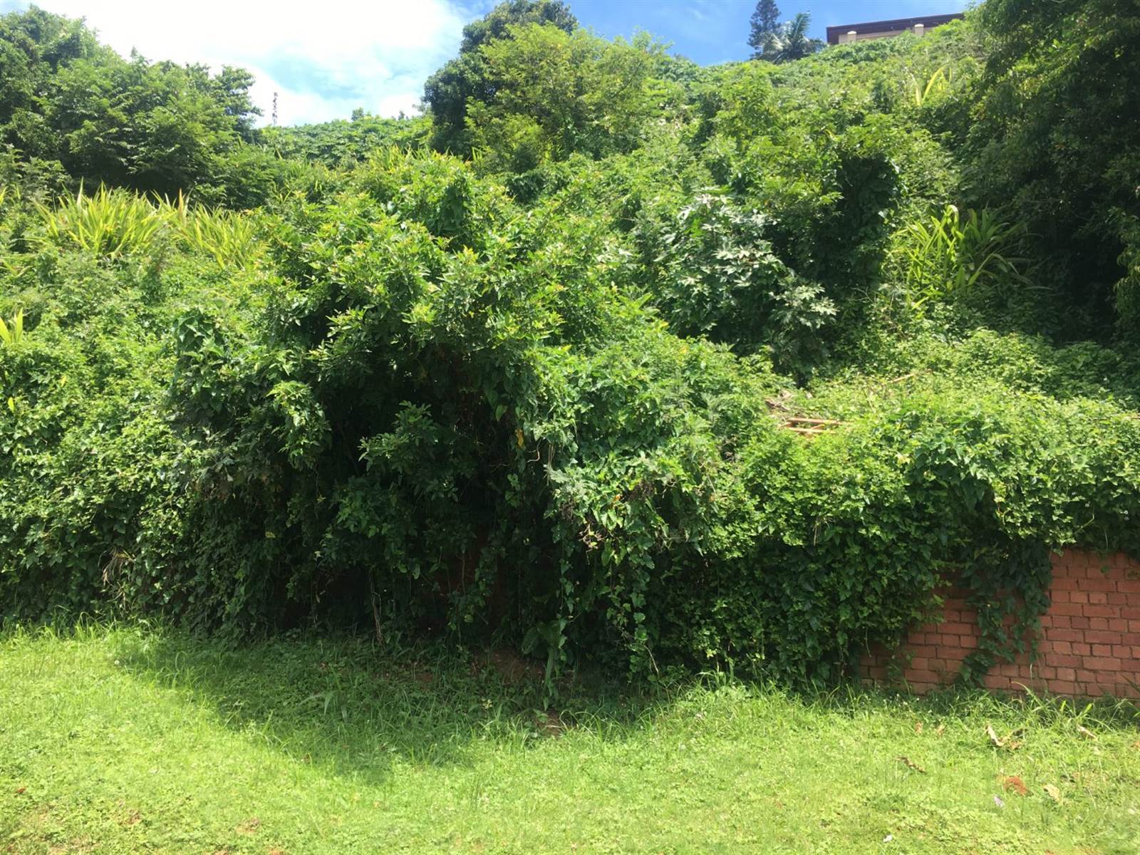 1022 m² Land available in Ballito photo number 4