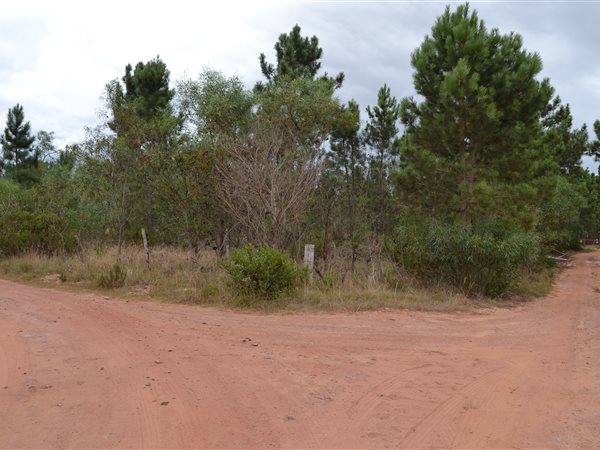 5670 m² Land available in Albertinia