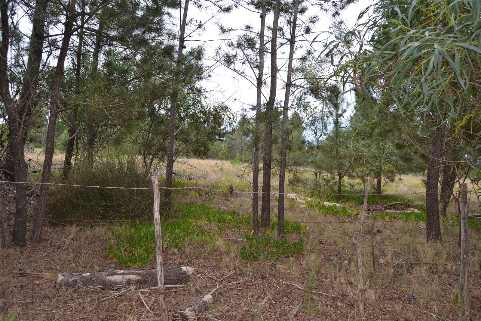 5670 m² Land available in Albertinia photo number 13
