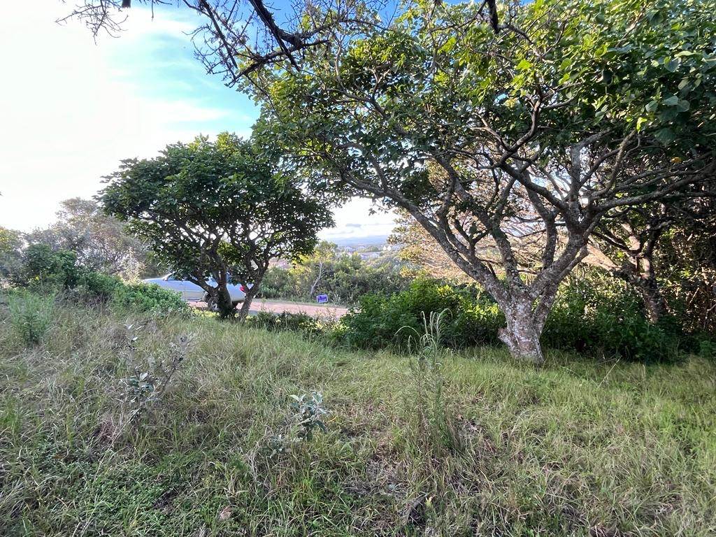759 m² Land available in Seafield photo number 3