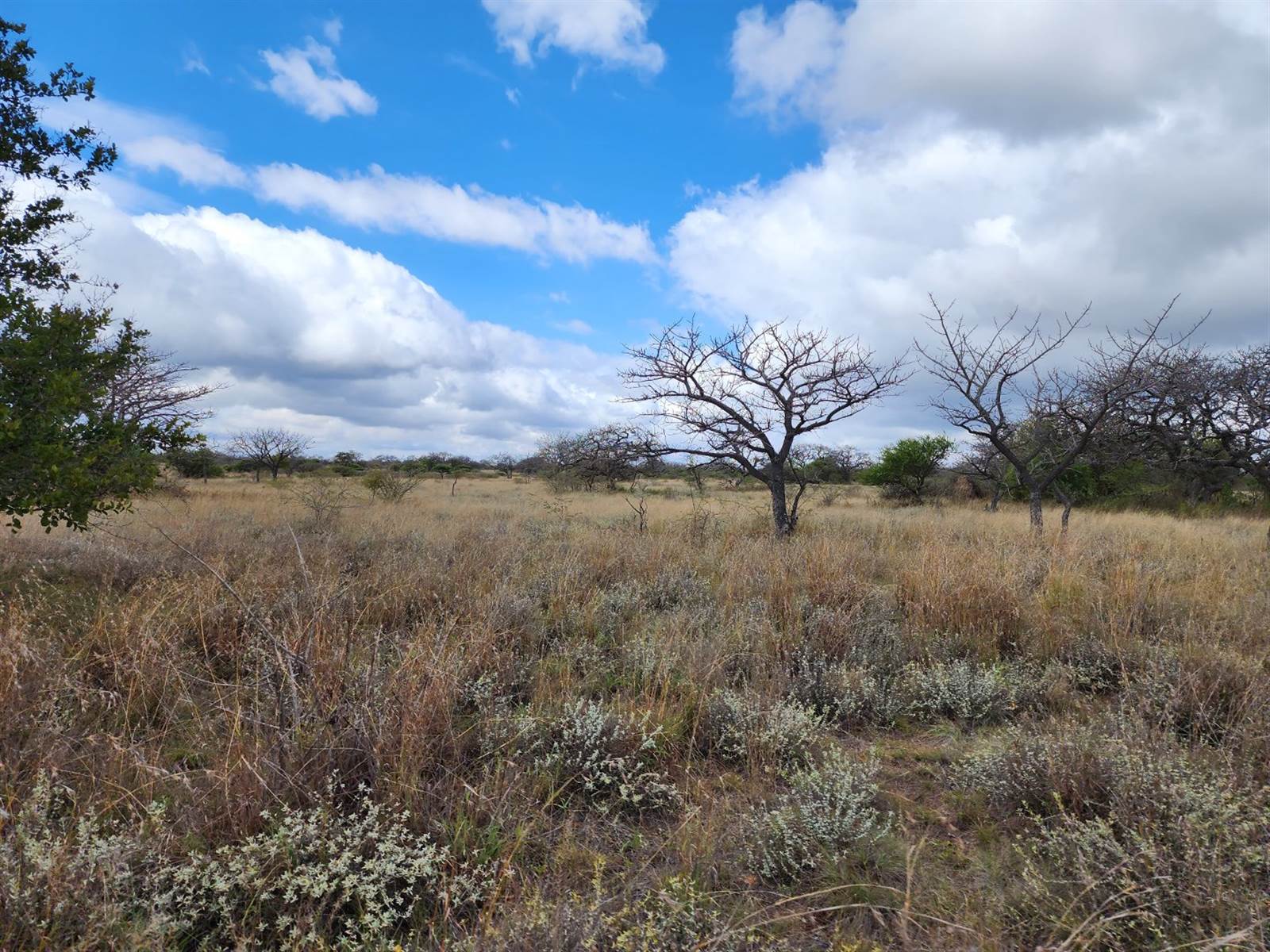 180 ha Farm in Lesedi Park photo number 8