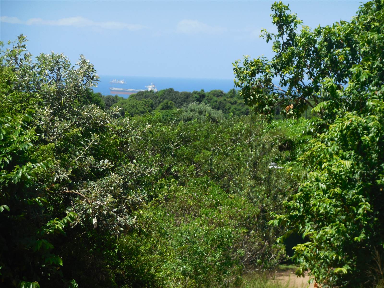 1180 m² Land available in Hawaan Forest Estate photo number 25
