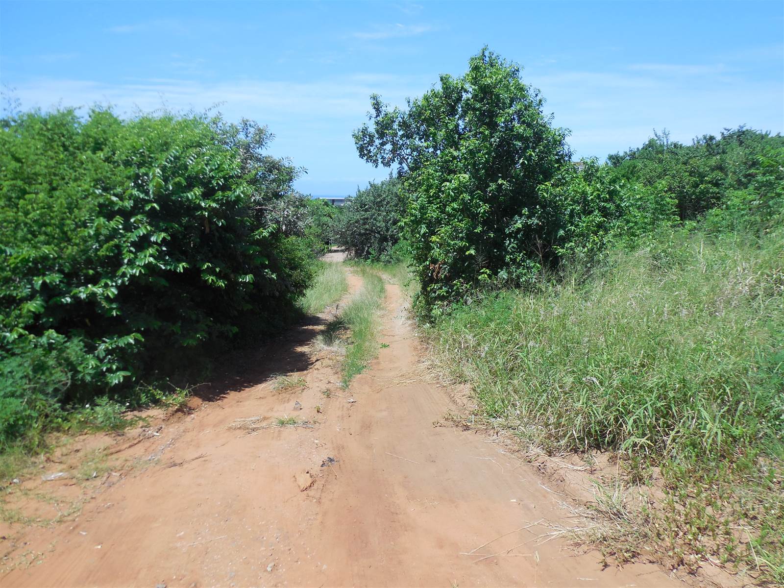 1180 m² Land available in Hawaan Forest Estate photo number 6