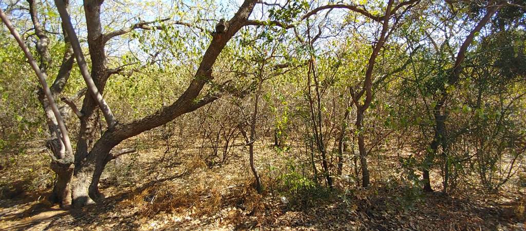 5000 m² Land available in Amandasig photo number 2