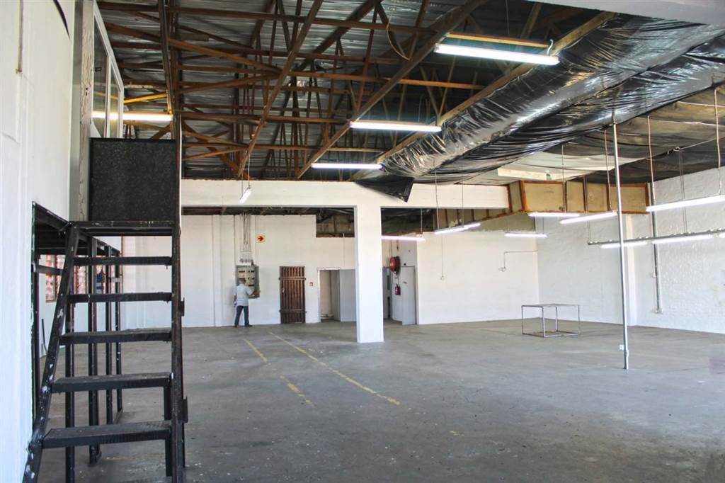 360  m² Industrial space in Greyville photo number 4
