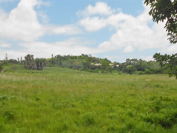 1.2 ha Land available in Port Edward