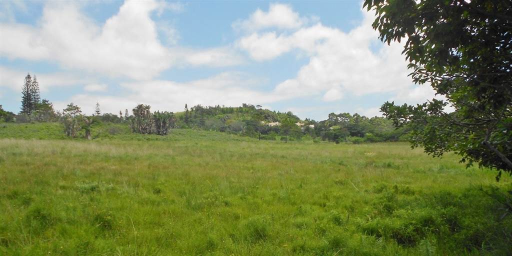 1.2 ha Land available in Port Edward photo number 1