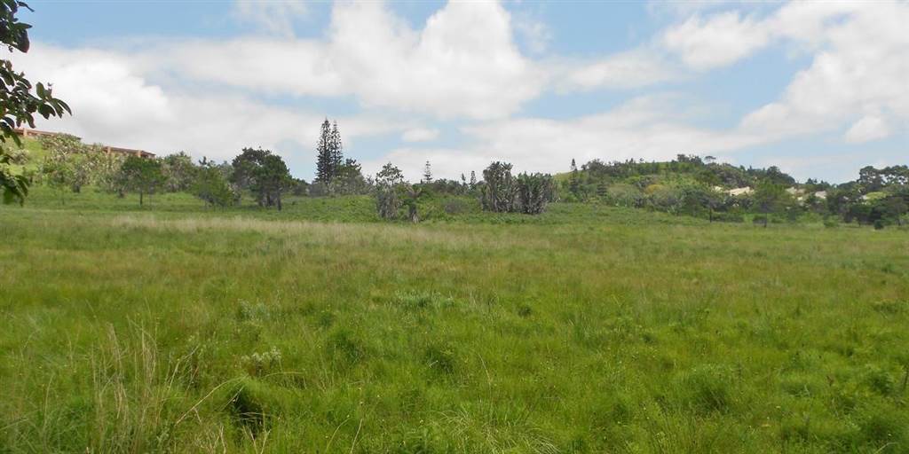 1.2 ha Land available in Port Edward photo number 3