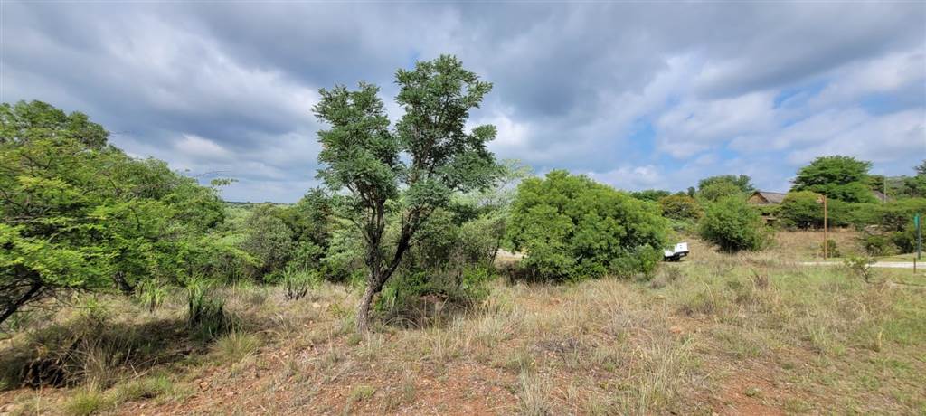 1621 m² Land available in Koro Creek Golf Estate photo number 4
