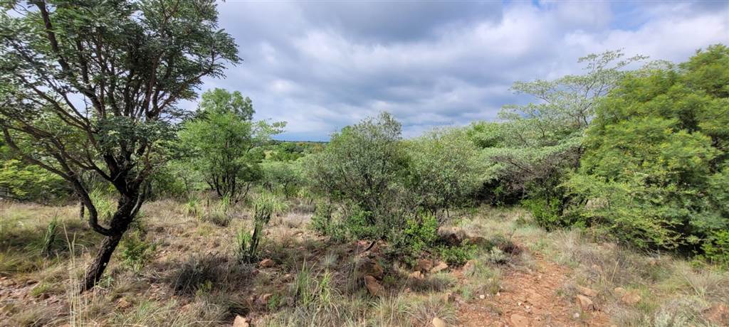 1621 m² Land available in Koro Creek Golf Estate photo number 5