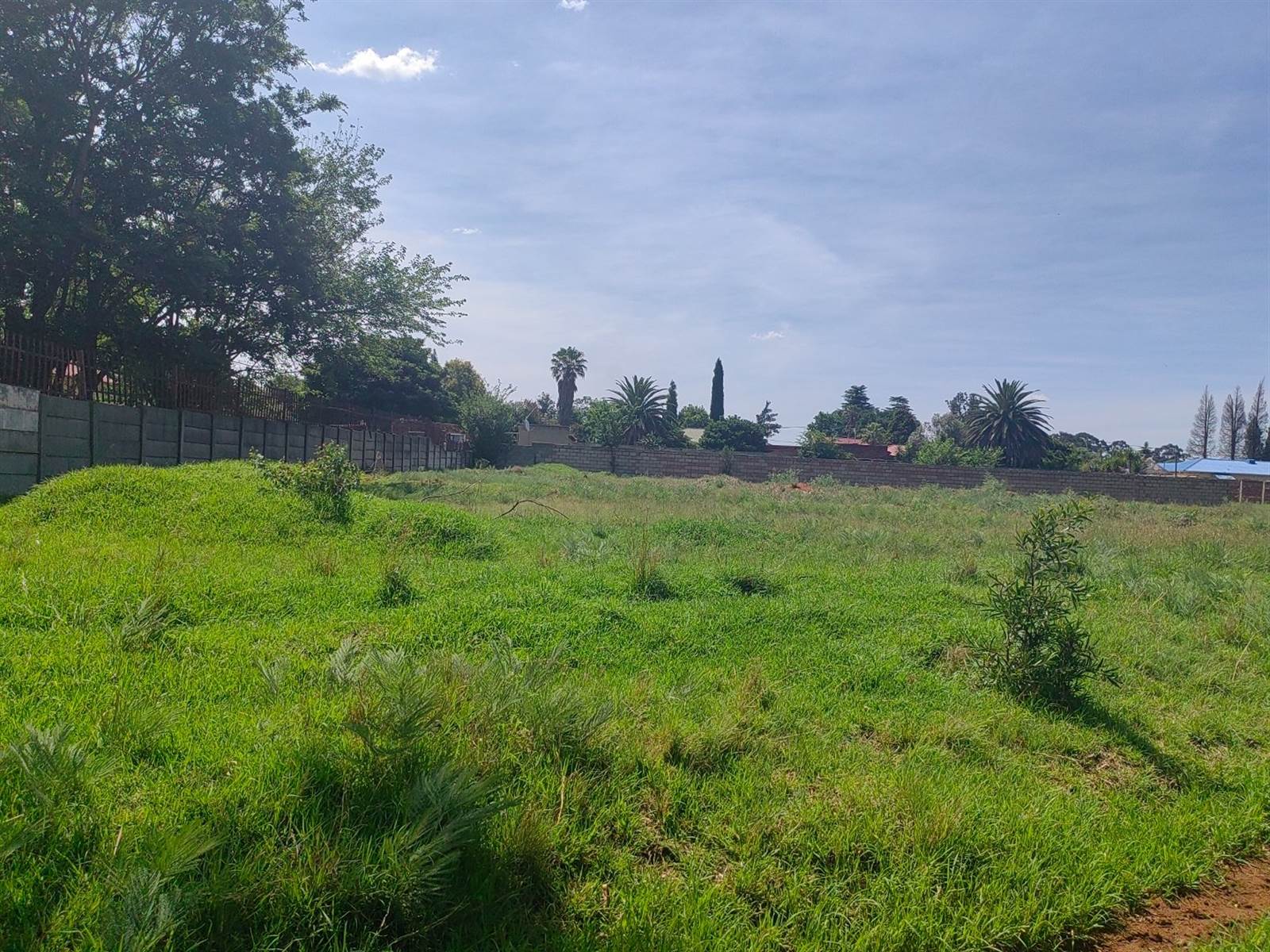 1923 m² Land available in Struisbult photo number 1