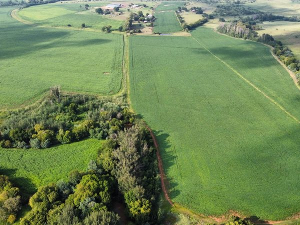 17 ha Farm in Middelburg