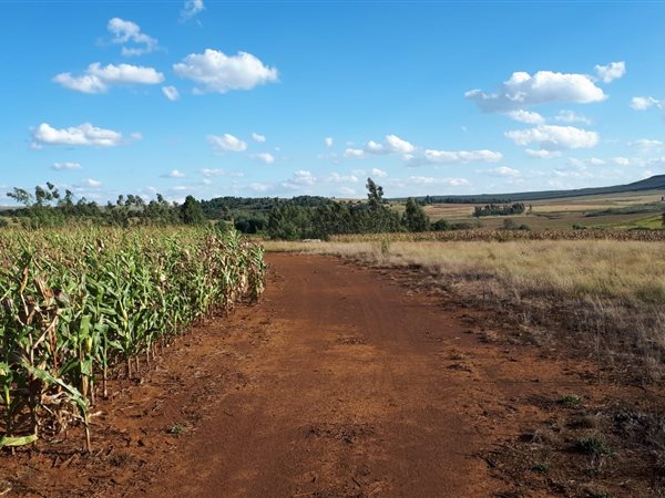 423 ha Farm 423 ha Farm