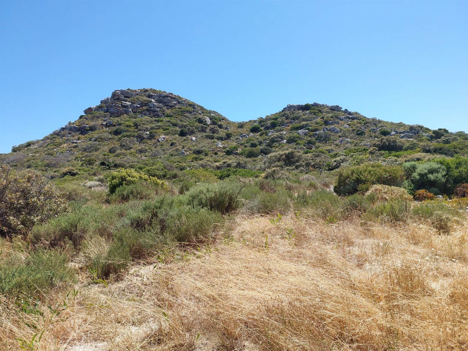 735 m² Land available in Noordhoek photo number 8