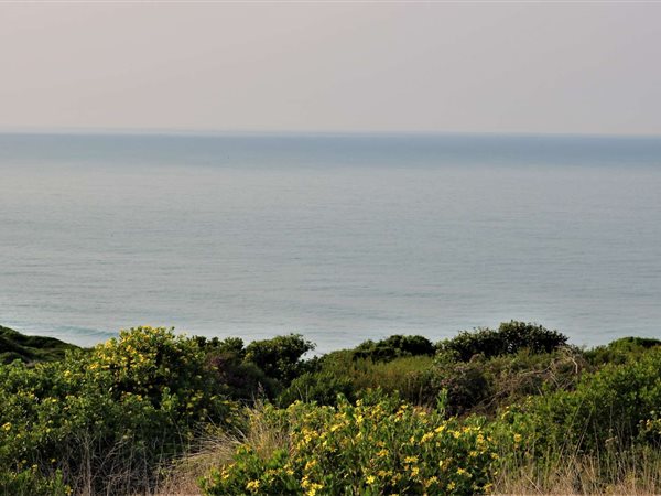 3033 m² Land available in Dana Bay