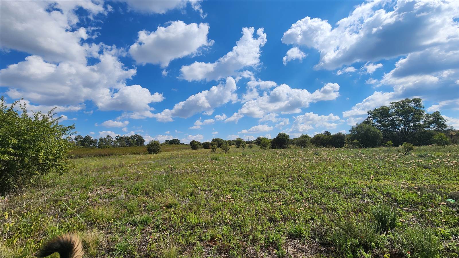 1 ha Land available in Gerhardsville photo number 7