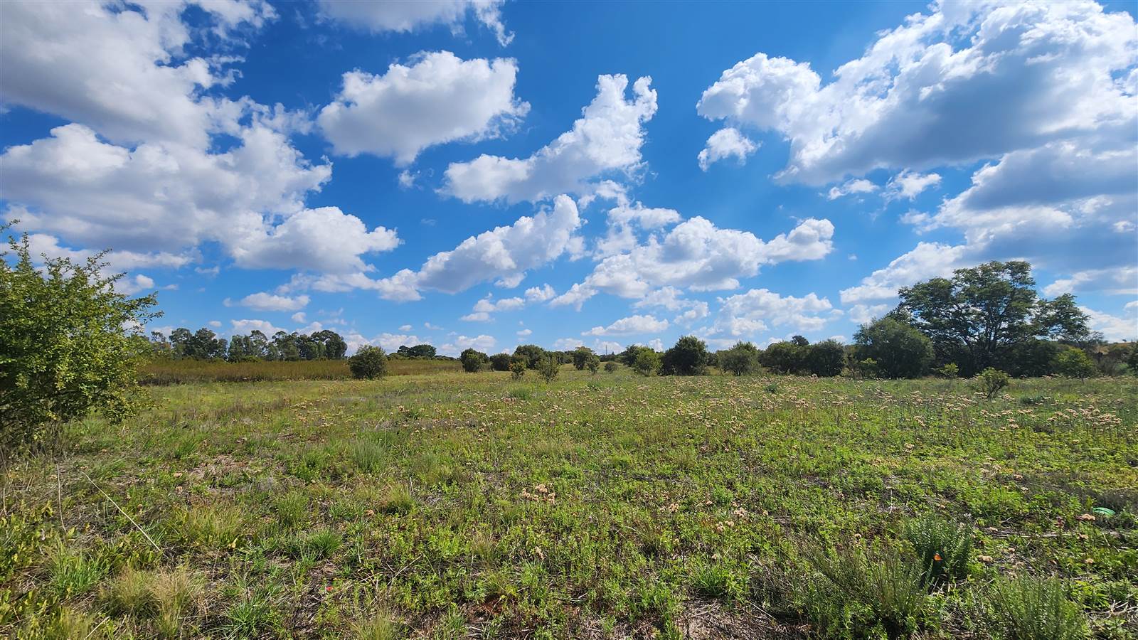 1 ha Land available in Gerhardsville photo number 5