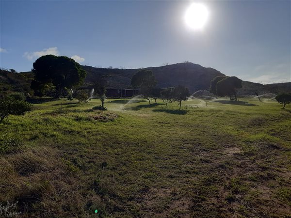 Farm