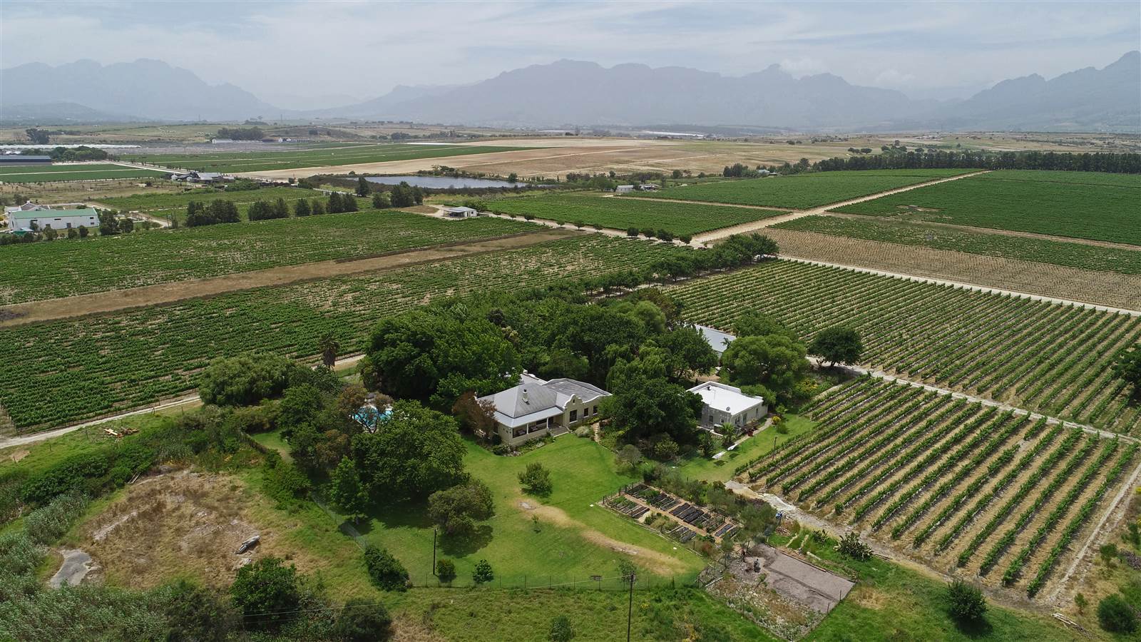 33 ha Farm in Stellenbosch Agricultural photo number 25
