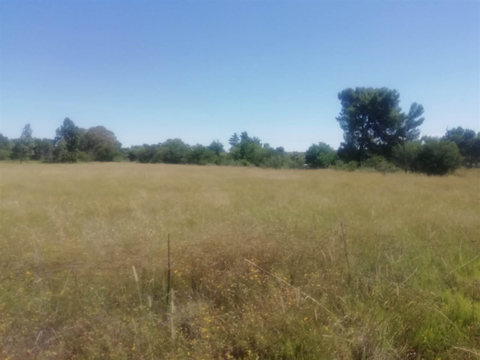 4.3 ha Land available in Estoire photo number 3
