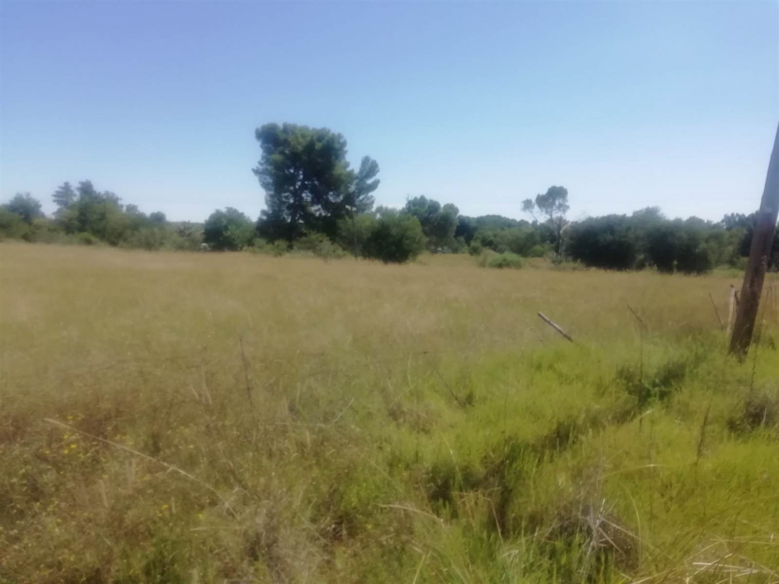 4.3 ha Land available in Estoire photo number 1