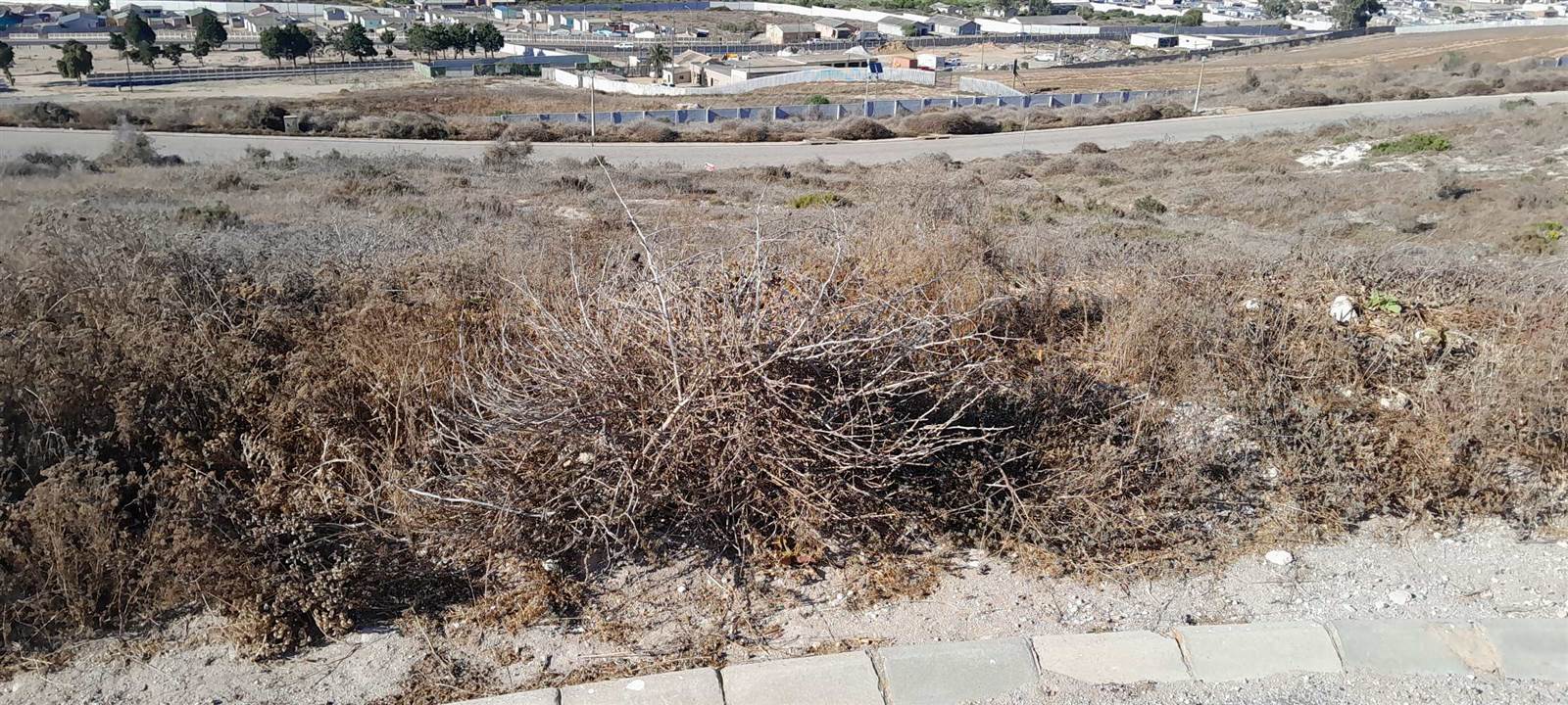 756 m² Land available in Saldanha photo number 2