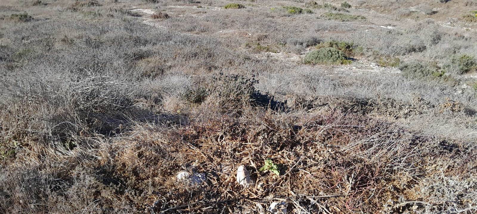 756 m² Land available in Saldanha photo number 3