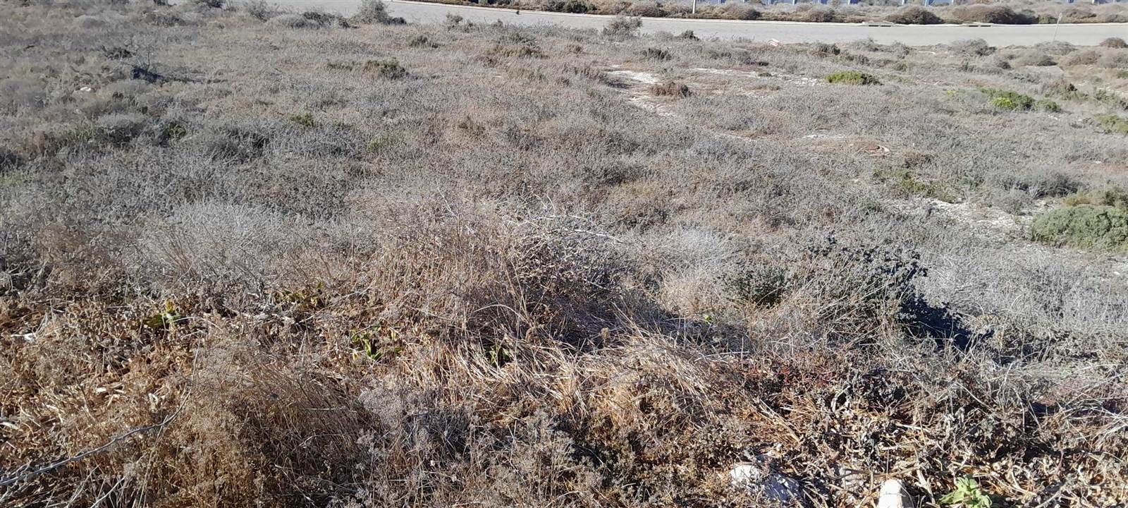 756 m² Land available in Saldanha photo number 4