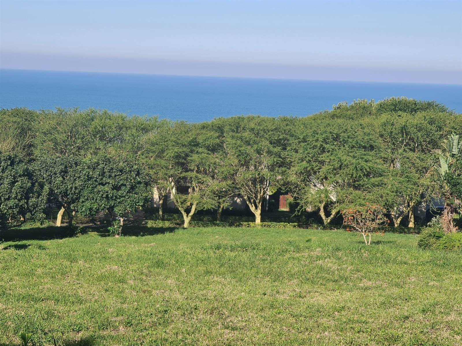 1145 m² Land available in Zinkwazi Beach photo number 5
