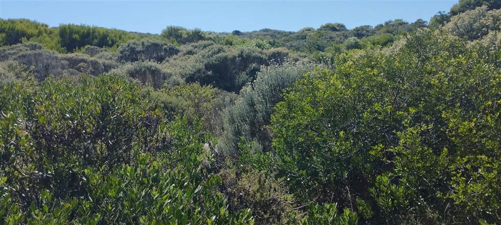 663 m² Land available in Stilbaai photo number 3