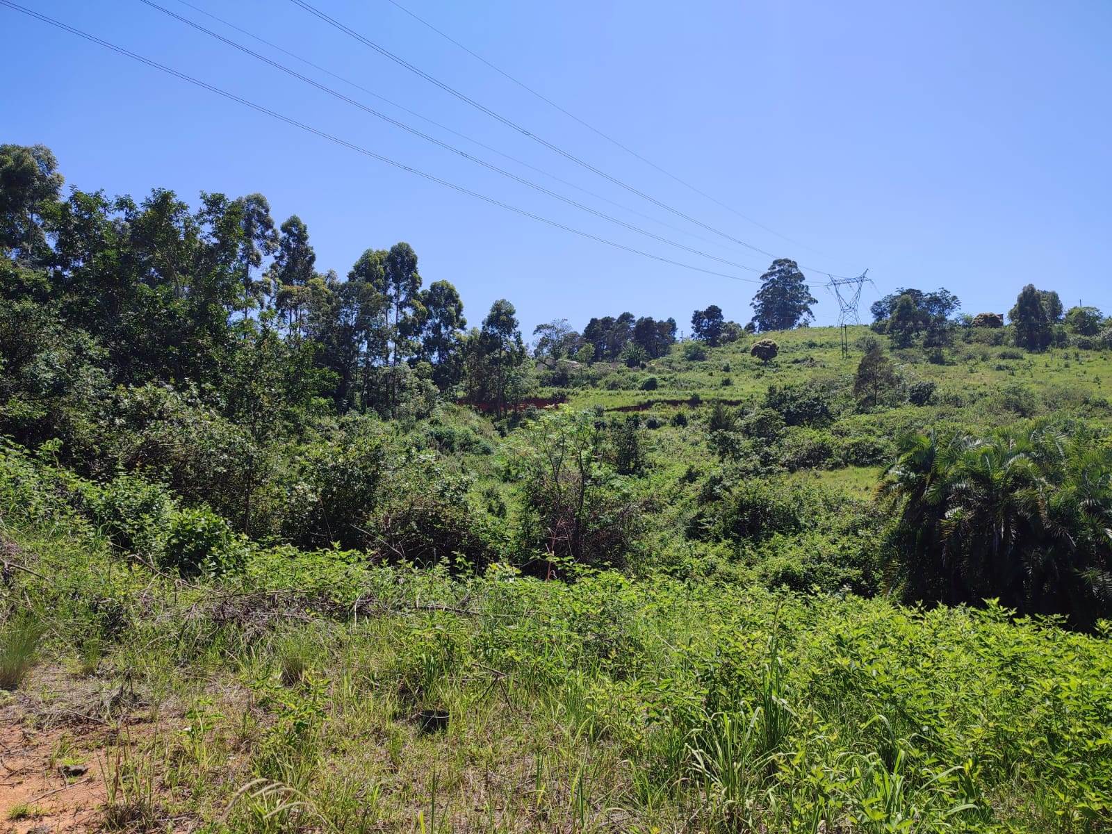 1000 m² Land available in Umbumbulu photo number 13