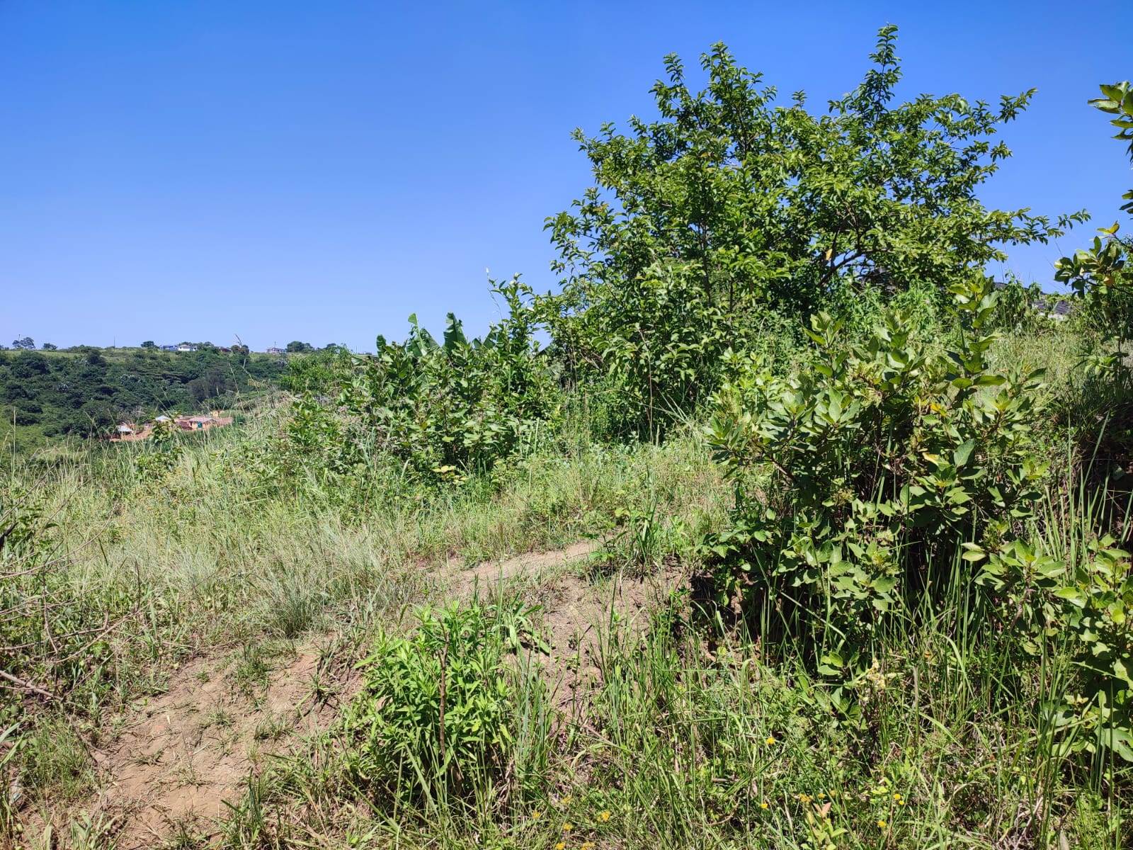 1000 m² Land available in Umbumbulu photo number 5