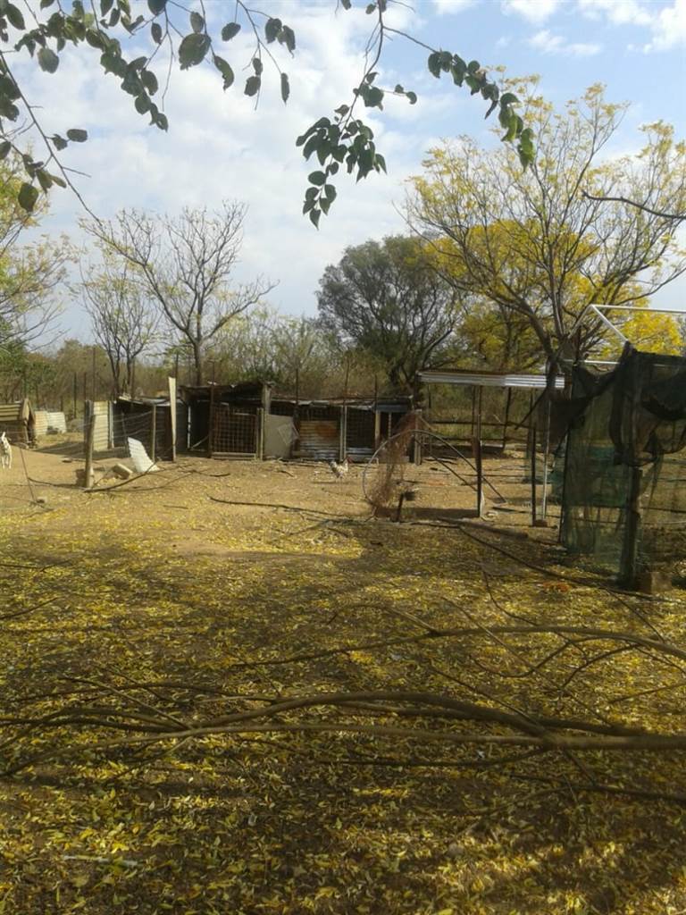 8.5 ha Farm in Bultfontein AH photo number 7