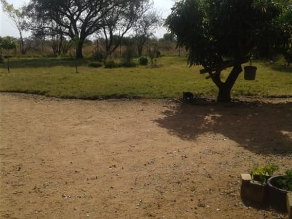 8.5 ha Farm in Bultfontein AH