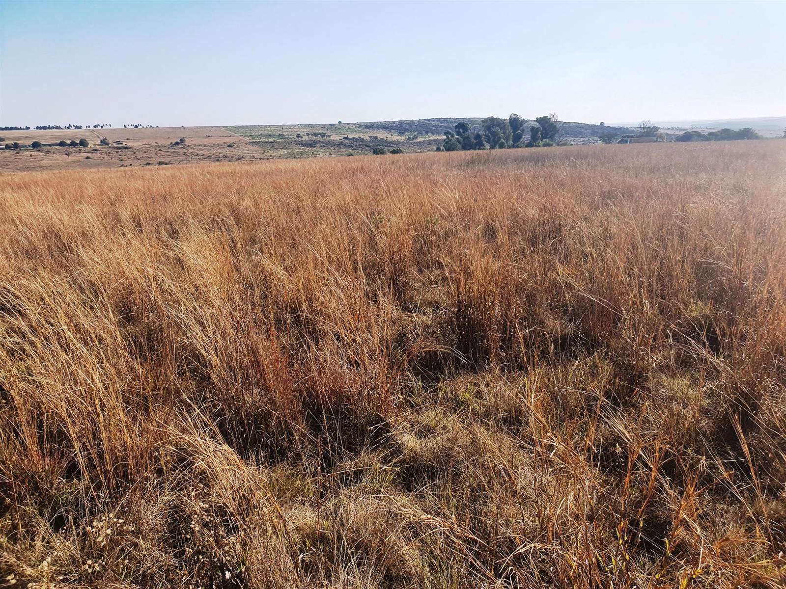22.6 ha Land available in Bronkhorstspruit photo number 10