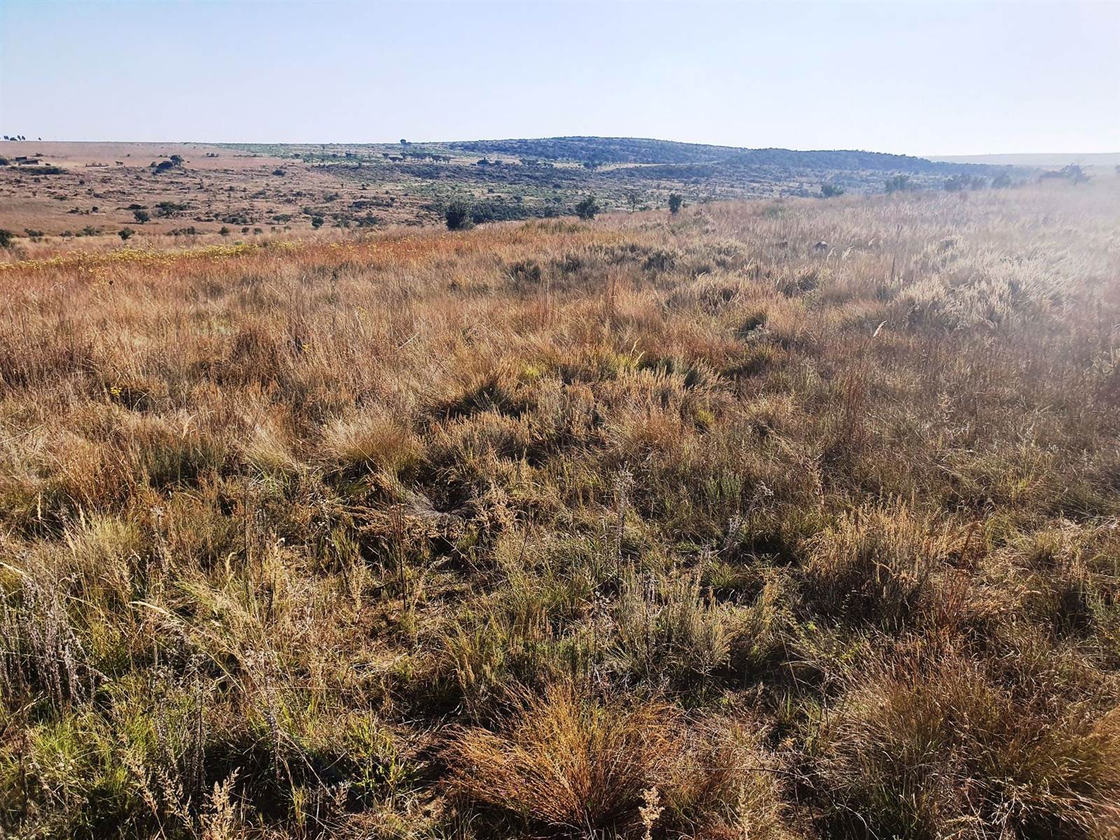22.6 ha Land available in Bronkhorstspruit photo number 8