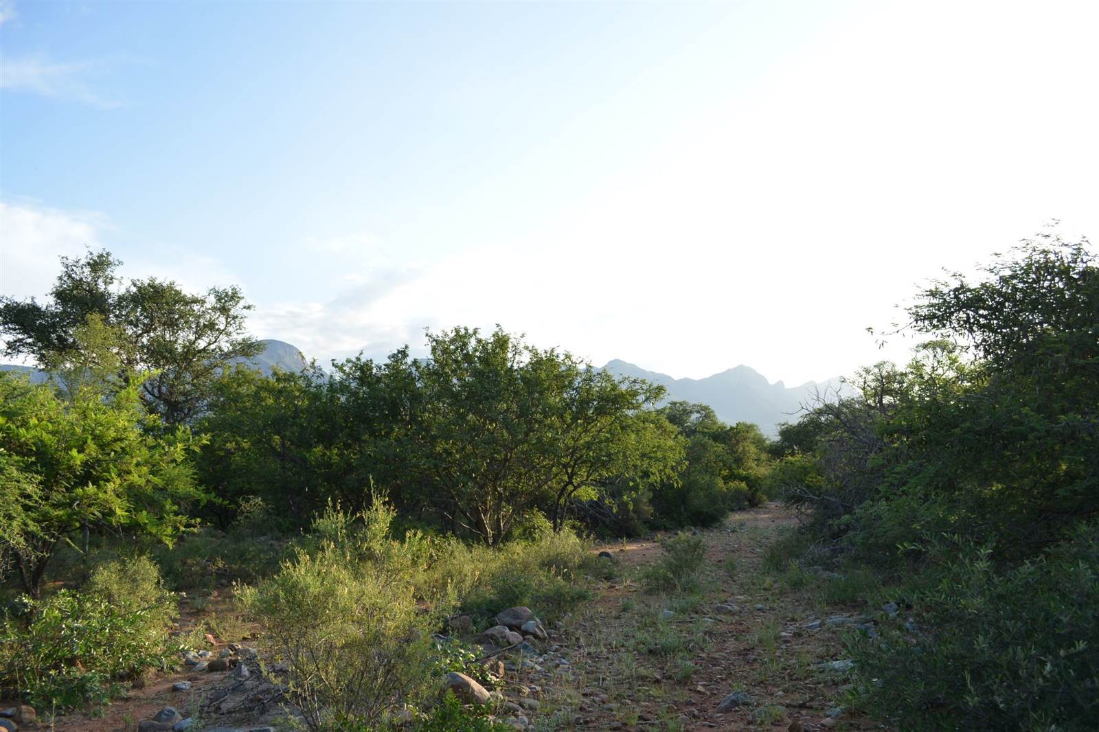 3055 m² Land available in Blyde Wildlife Estate photo number 15