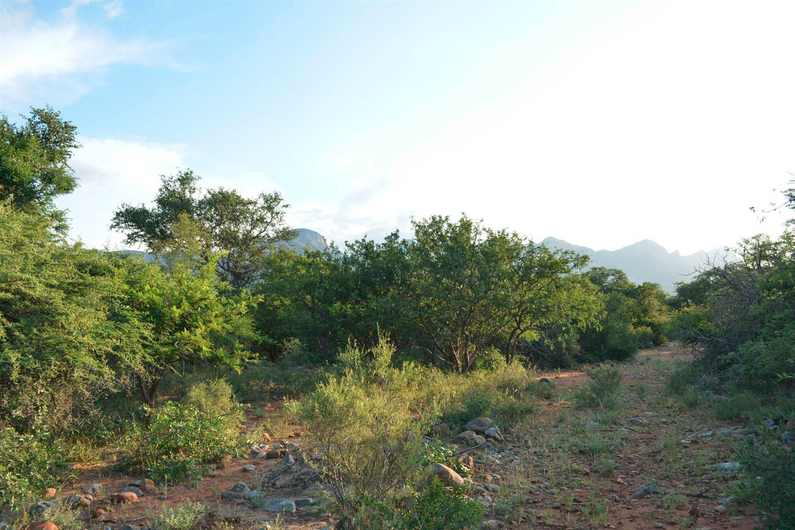 3055 m² Land available in Blyde Wildlife Estate photo number 16