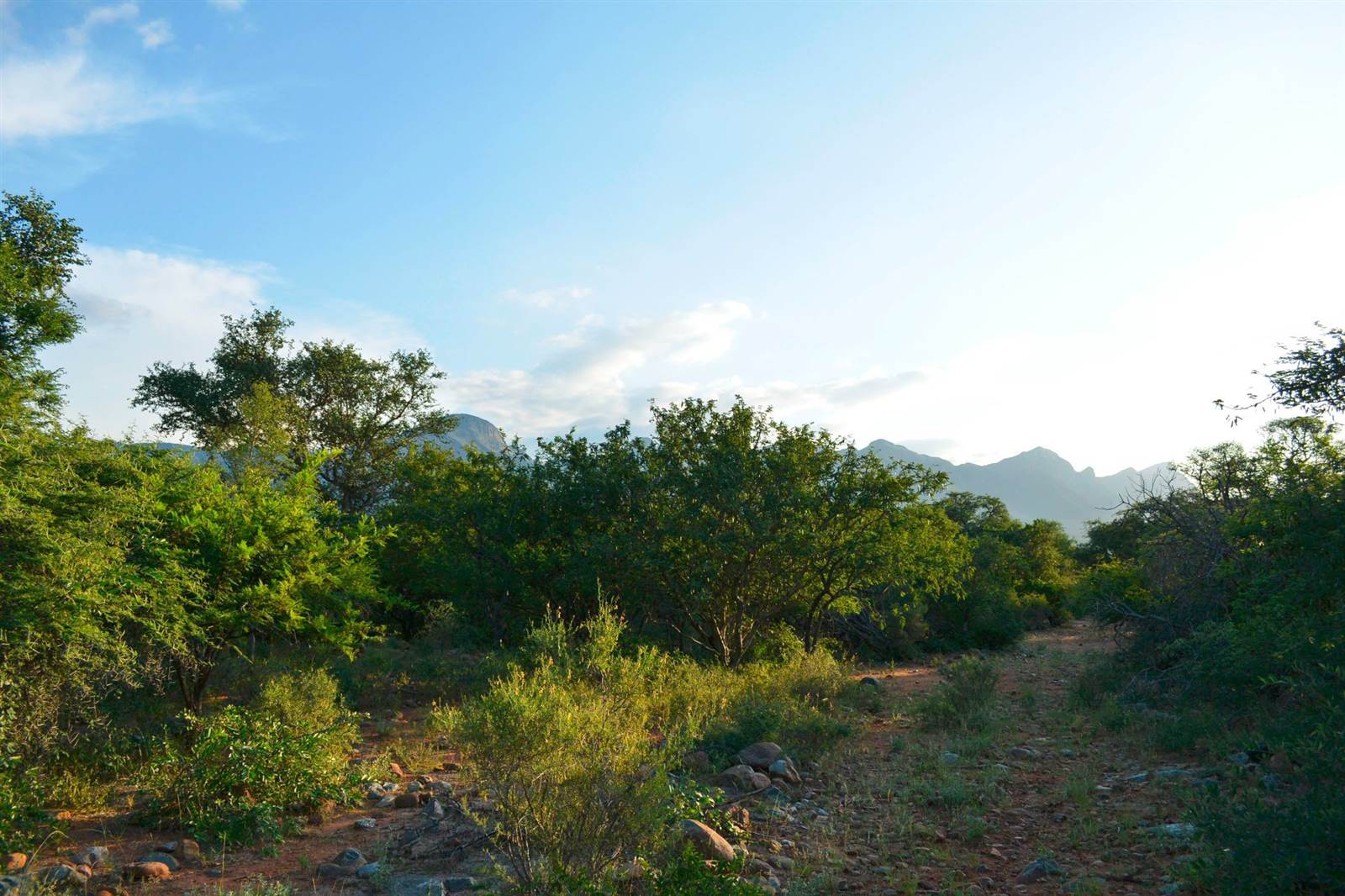 3055 m² Land available in Blyde Wildlife Estate photo number 17