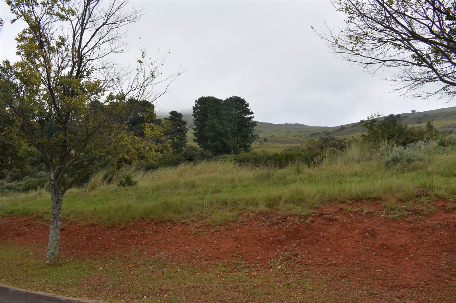 5643 m² Land available in Dullstroom photo number 5