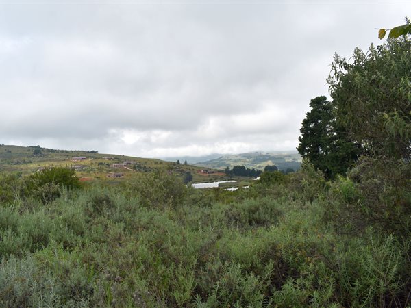 5643 m² Land available in Dullstroom