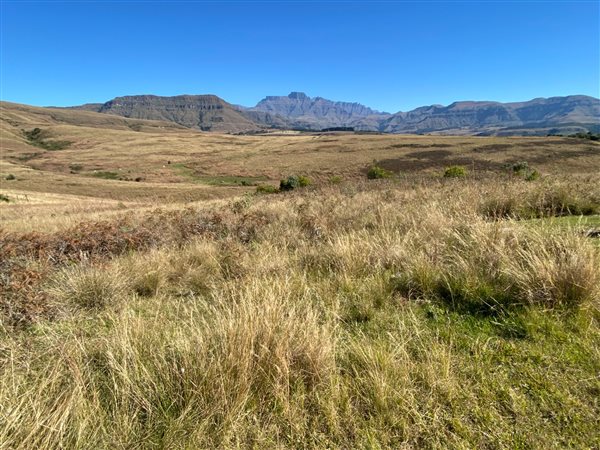 968 m² Land 968 m² Land