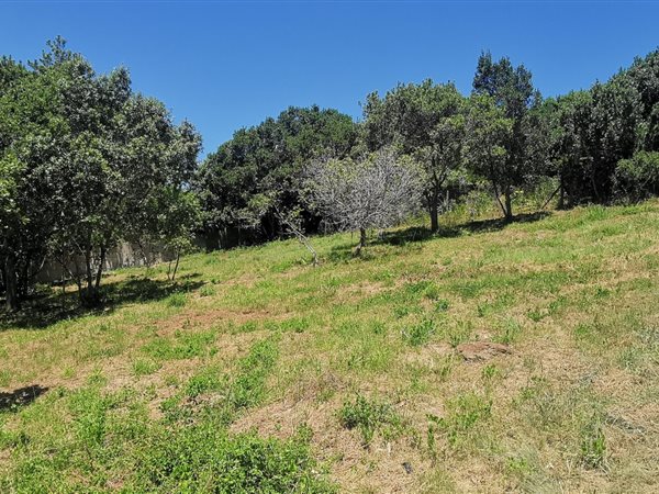 762 m² Land available in Meedingsride