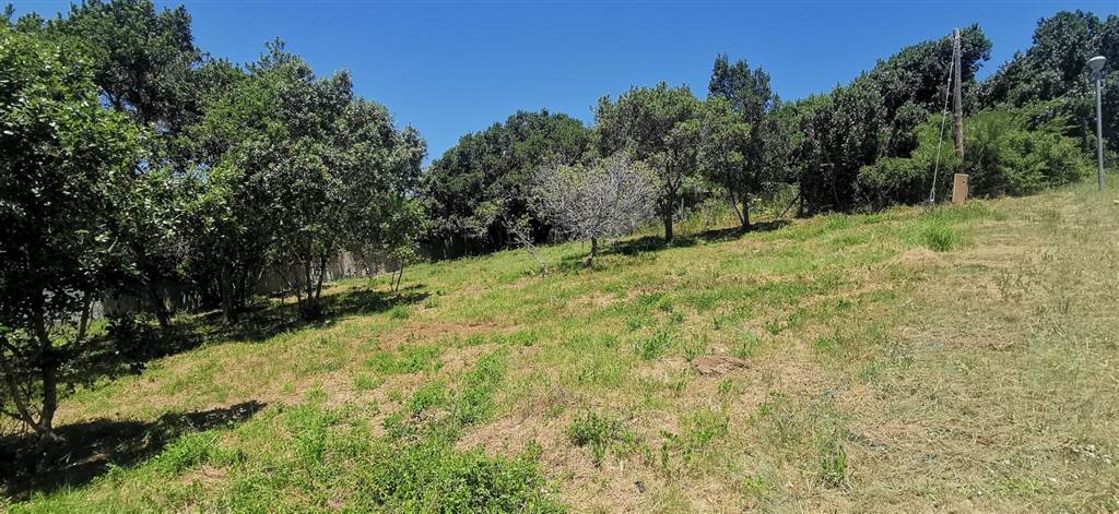 762 m² Land available in Meedingsride photo number 1