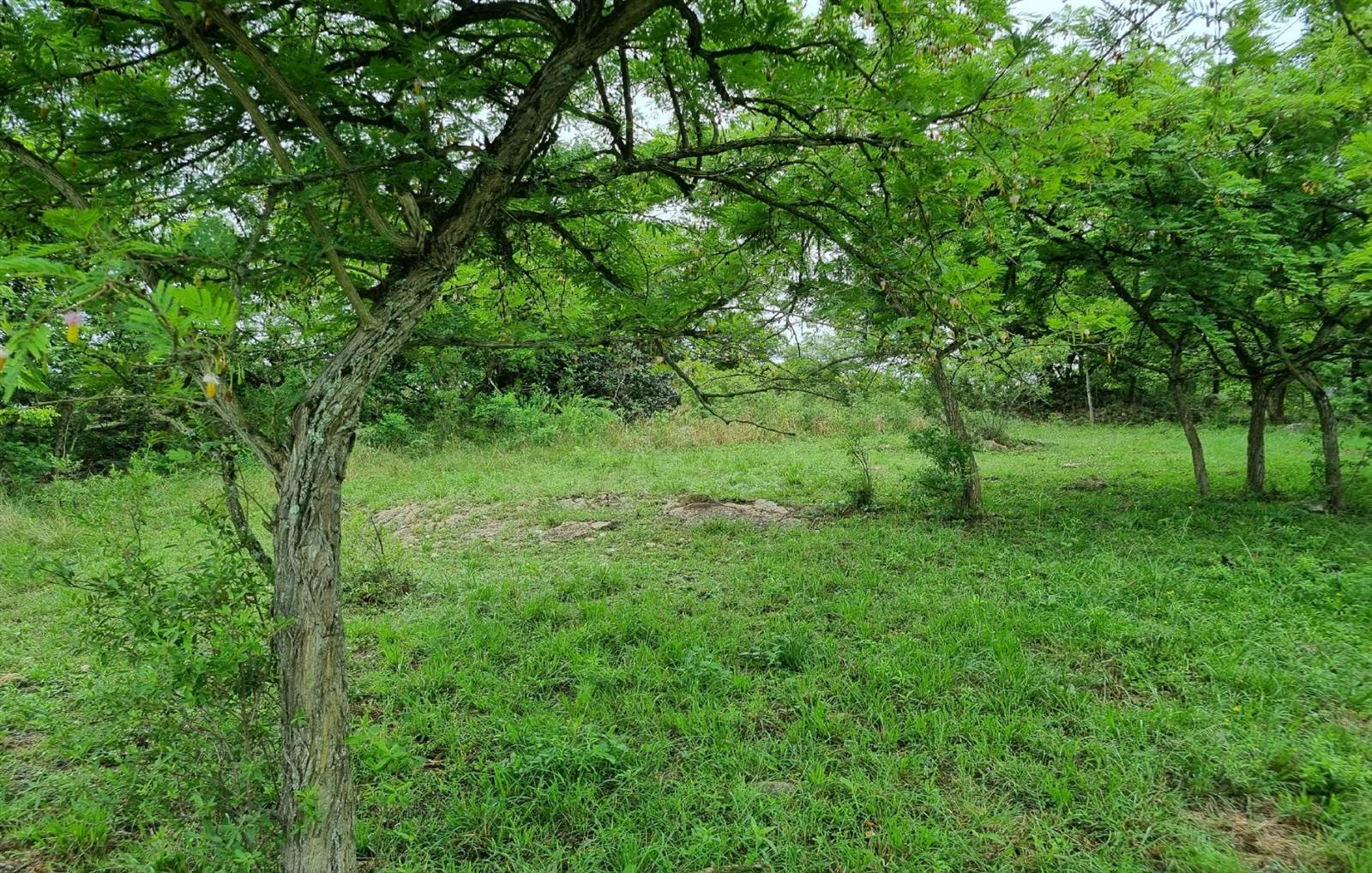 1.1 ha Land available in Sonheuwel photo number 2