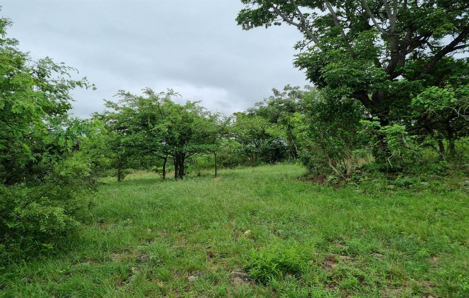 1.1 ha Land available in Sonheuwel photo number 1