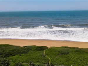 1012 m² Land available in Tinley Manor and surrounds