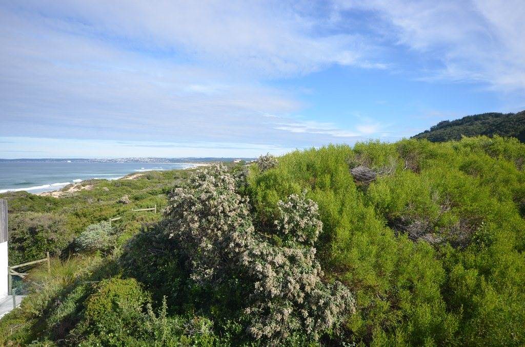 896 m² Land available in Keurboomstrand photo number 3