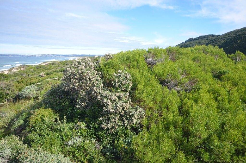 896 m² Land available in Keurboomstrand photo number 5