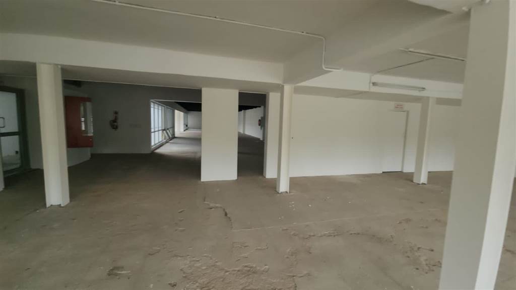 556  m² Commercial space in Brooklyn photo number 8